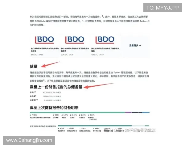 深入分析:USDT投资的潜在风险与应对策略